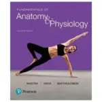 Fundamentals of Anatomy Physiology, 11th Edition