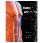 Human Anatomy, 8th Edition